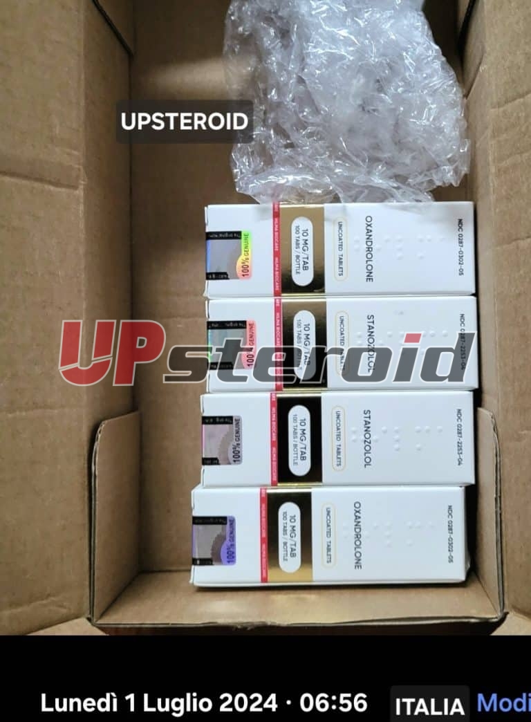 2025 11 01 6905e65f16fff Captura de tela 20251019 144833 Galeria