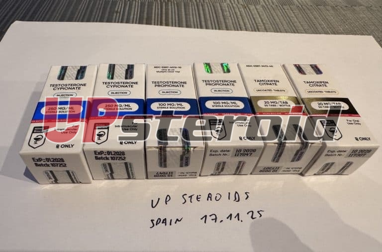 2025 11 24 6924a699ecc1e Foto22 11 25211711