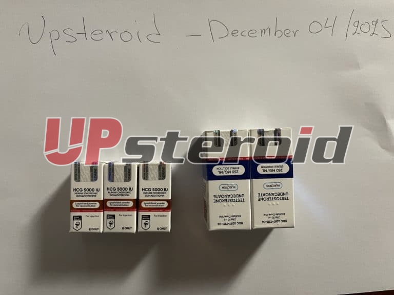 2025 12 23 694ac62a31fad up