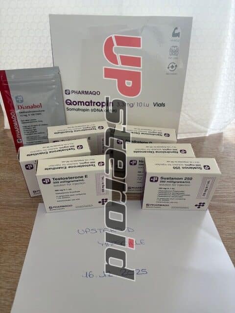 2025 12 23 694ace6447b0c imagem0