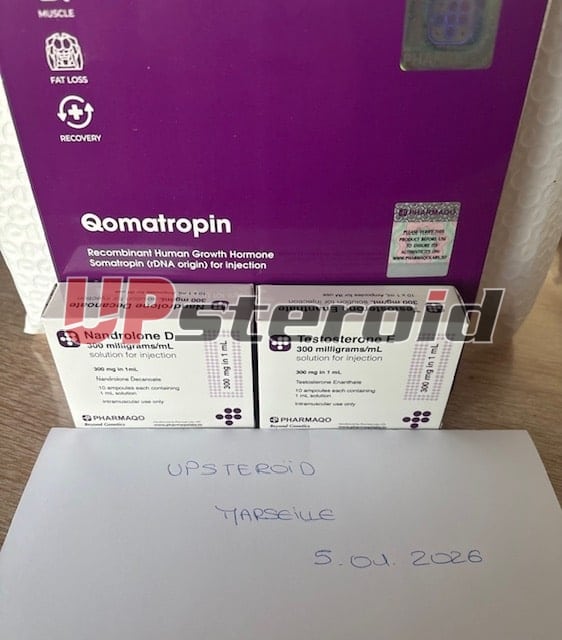 2026 01 06 695cc7139e385 imagem0